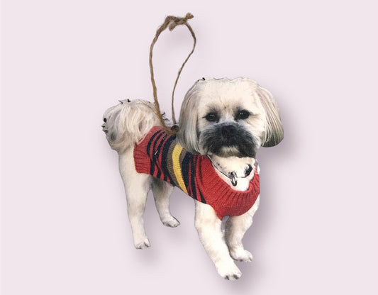 Your Favorite Pet Ornament