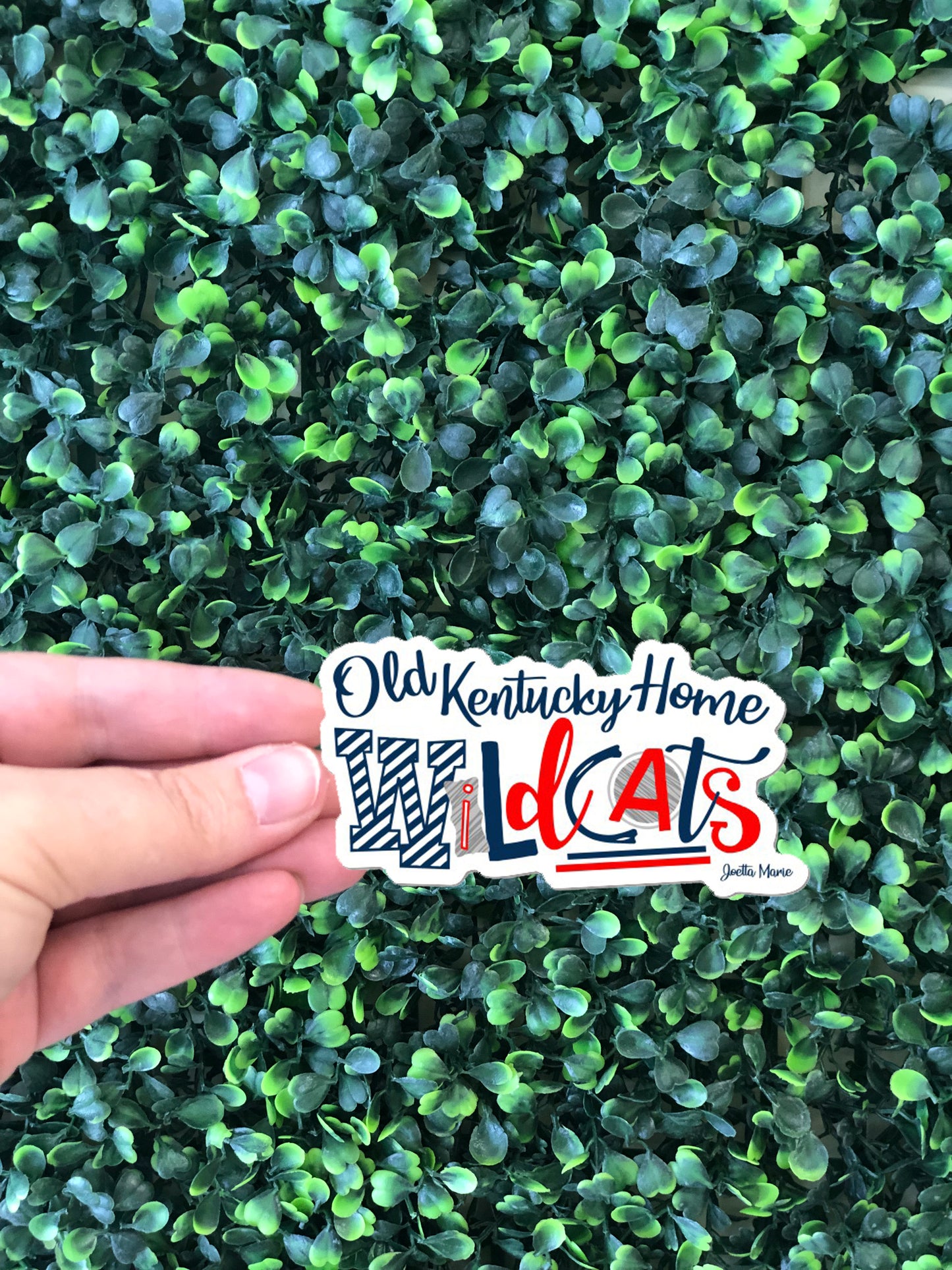 Old Kentucky Homw Wildcats sticker