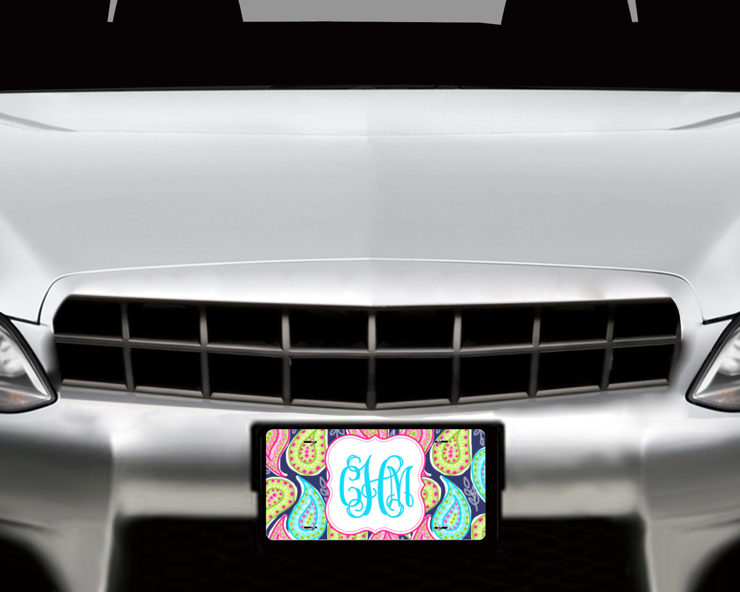 Personalized Paisley with monogram License Plate