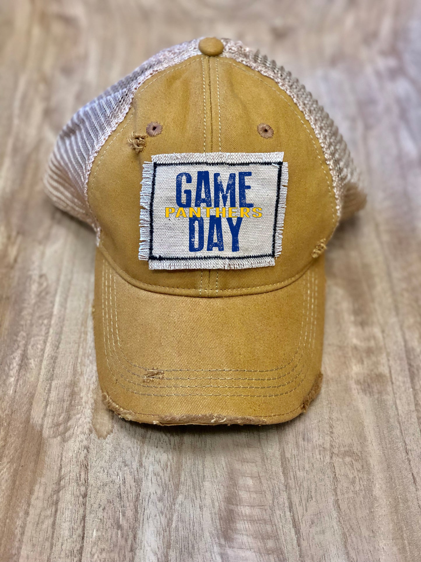 Game Day Panthers Distressed Hat