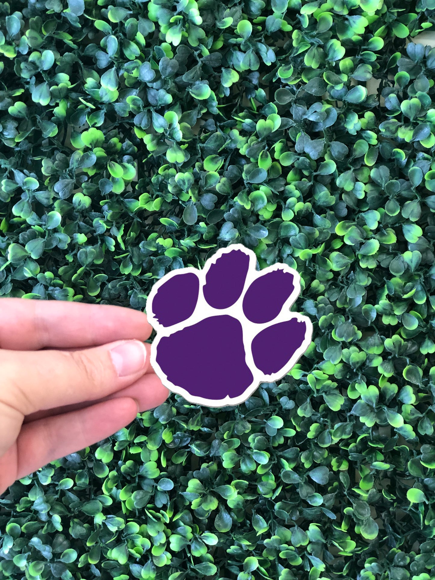 Purple Paw Sticker